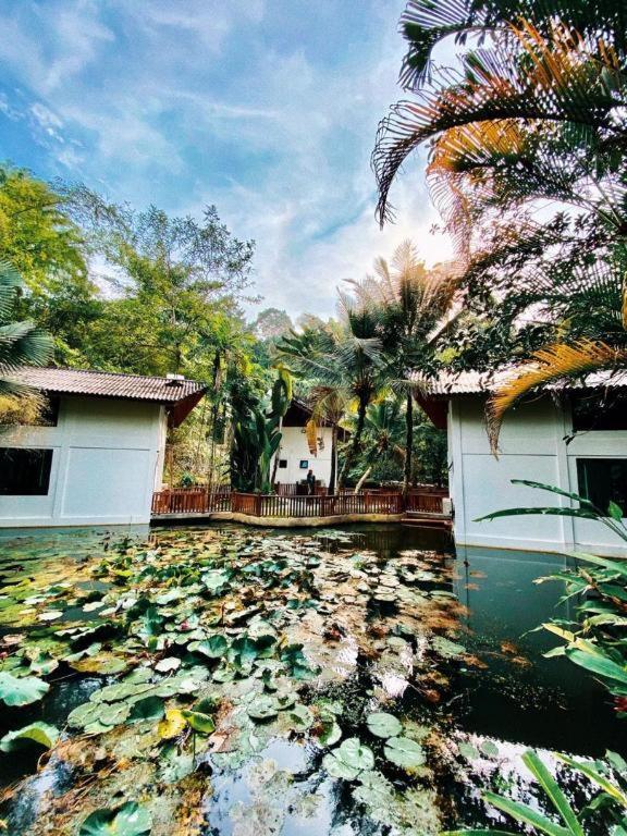 Bidaisari Resort Bentong Dış mekan fotoğraf